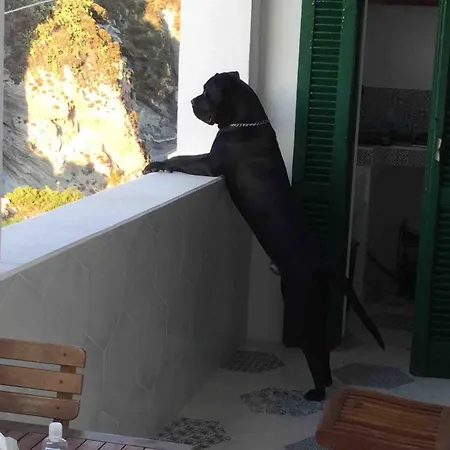 Typical Style In Downtown Apartment Ponza